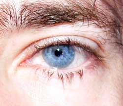 Profil de Manille